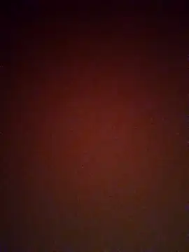 mendelicius online show from 25, 2, 2025