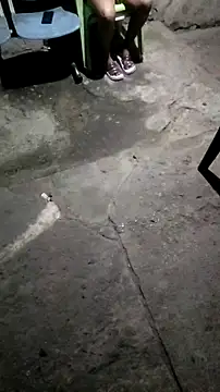 mendelicius online show from 11, 11, 2025