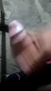 mendelicius online show from 14, 11, 2025