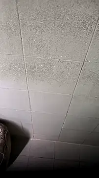 Snapshot of mendelicius chatting on 16, 2, 2026 mendelicius online show from 16, 2, 2026