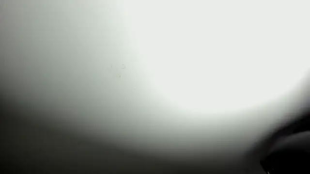 selene red  online show from 8, 10, 2025