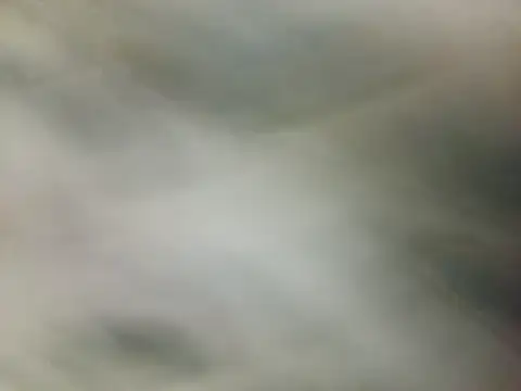 BigRastaFire online show from 8, 3, 2026