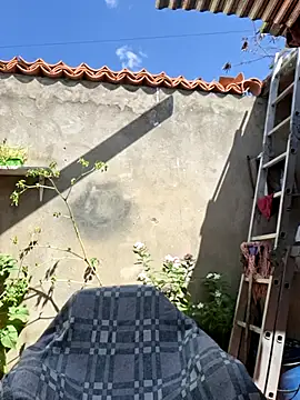 room 24funn online show from 14, 11, 2025