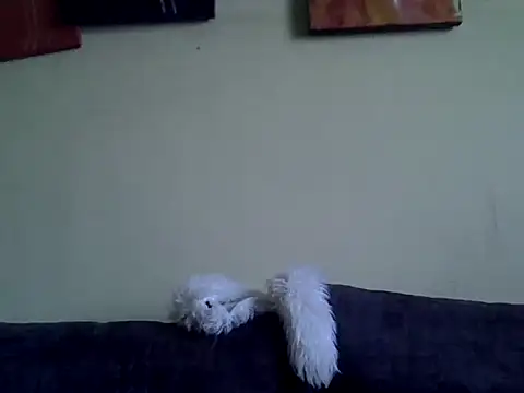 Snapshot of Delicious-D chatting on 10, 2, 2026 Delicious-D online show from 10, 2, 2026