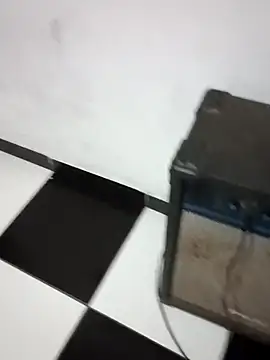 bundaouro online show from 14, 2, 2025