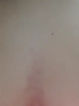 AmandaS2k online show from 1, 4, 2026