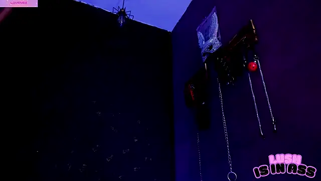 Snapshot of Alexa_Slave chatting on 25, 4, 2026 Alexa Slave online show from 25, 4, 2026