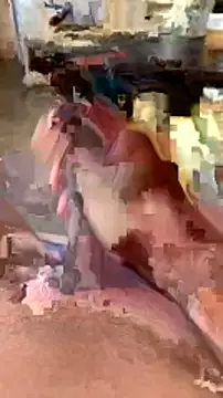 Snapshot of elber-gdo chatting on 5, 2, 2025 elber-gdo online show from 5, 2, 2025