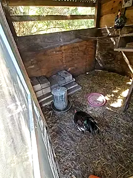 Mistress Melissa online show from 3, 2, 2025