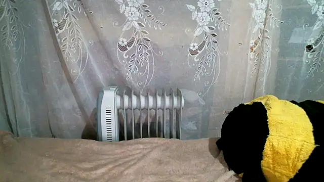 Snapshot of DennisXCaroll chatting on 20, 1, 2025 DennisXCaroll online show from 20, 1, 2025