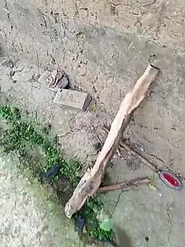 hairipussy2 online show from 4, 3, 2025