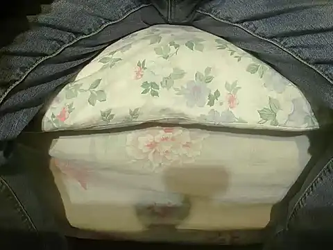 Tiger202441 online show from 27, 12, 2024