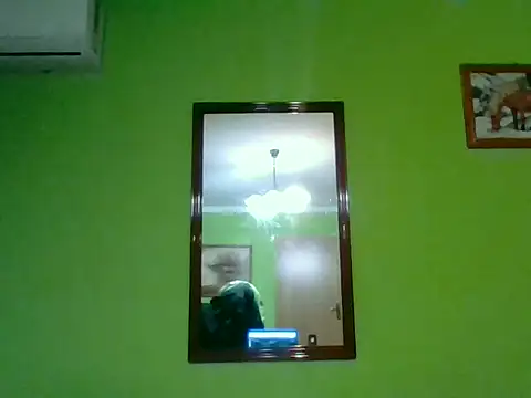 Tiger202441 online show from 6, 10, 2025