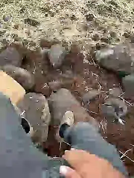 murokkk31 online show from 11, 12, 2024