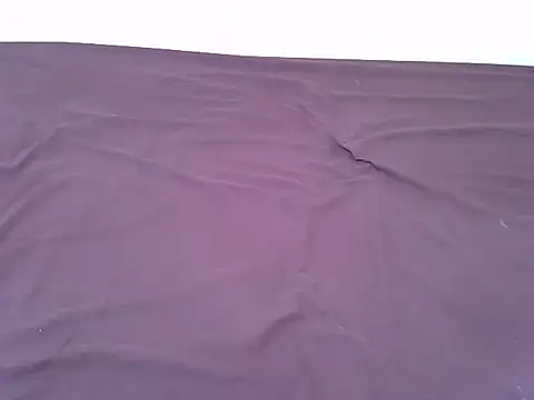 tasty piee online show from 7, 11, 2025