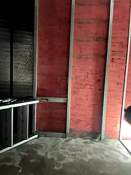 Snapshot of Hellen_111 chatting on 11, 11, 2025 Hellen 111 online show from 11, 11, 2025