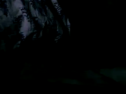 WHITEDAROSE online show from 19, 2, 2025