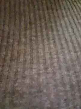 lamorbosa37 online show from 10, 2, 2026