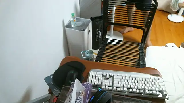 Snapshot of Stellan_0412 chatting on 13, 2, 2026 Stellan 0412 online show from 13, 2, 2026