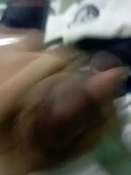 hotie7tvn online show from 8, 11, 2025