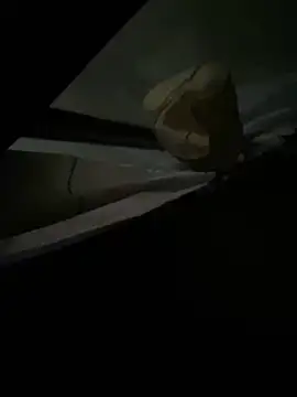 xxkingxx420 online show from 16, 12, 2024