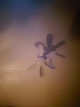 Snapshot of Dorset8360 chatting on 18, 11, 2025 Dorset8360 online show from 18, 11, 2025