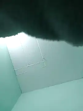 Snapshot of Luisf1267 chatting on 11, 10, 2025 Luisf1267 online show from 11, 10, 2025