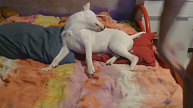 Snapshot of couplemilf2 chatting on 6, 12, 2024 couplemilf2 online show from 6, 12, 2024