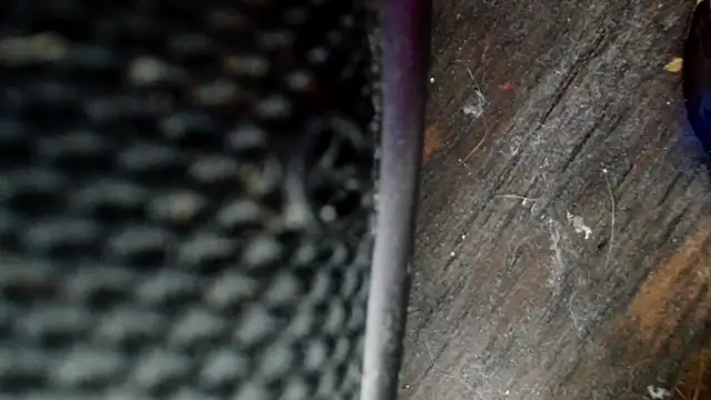 Gigadickman online show from 2, 12, 2024