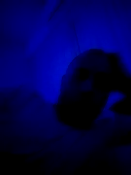 Snapshot of HELL_FIRE chatting on 30, 9, 2025 HELL FIRE online show from 30, 9, 2025