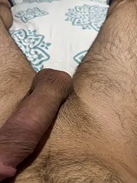 Snapshot of Wolff77 chatting on 2, 12, 2024 Wolff77 online show from 2, 12, 2024