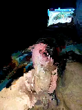 slawlargo01 online show from 12, 4, 2026