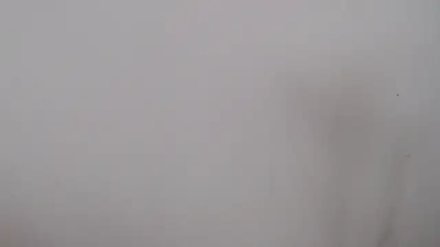 Snapshot of leoytessa_10 chatting on 5, 12, 2024 leoytessa 10 online show from 5, 12, 2024