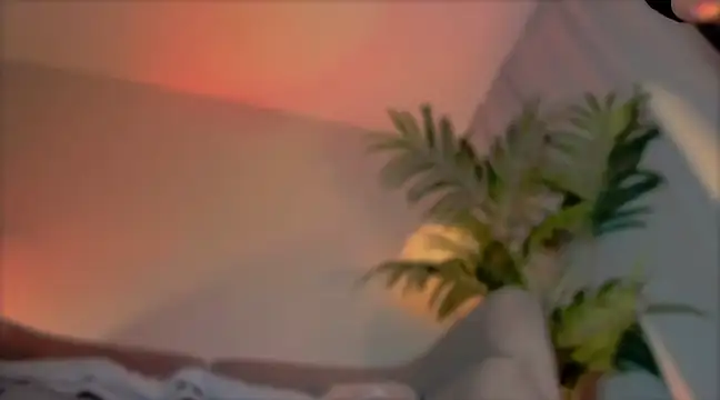  cherry bloss  online show from 21, 3, 2025