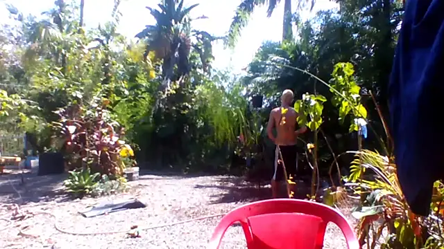 sellvageria online show from 15, 12, 2025