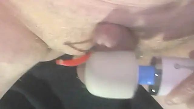 trittico online show from 9, 10, 2025