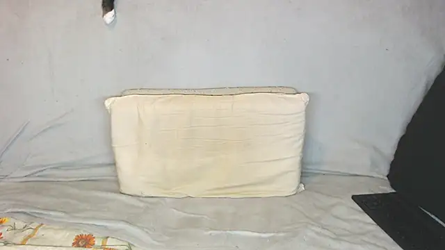 qustci-couple online show from 21, 10, 2025