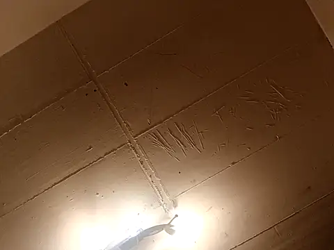 Timbojan28 online show from 27, 3, 2026