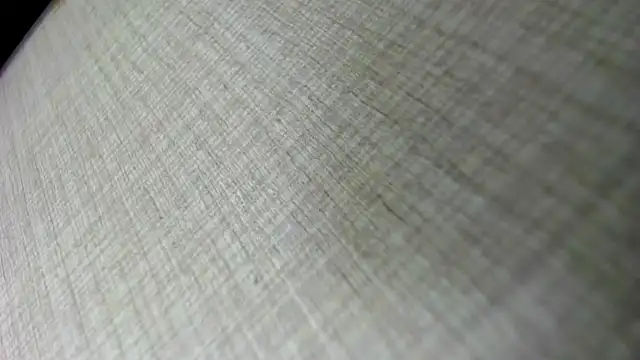 Snapshot of AishaRouhi chatting on 5, 11, 2025 AishaRouhi online show from 5, 11, 2025