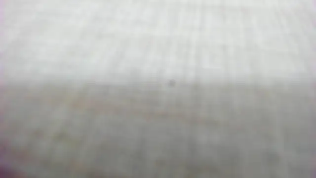 AishaRouhi online show from 14, 2, 2026