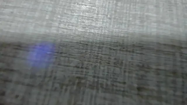 AishaRouhi online show from 25, 3, 2026