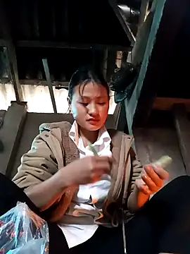 trieungoclnt online show from 12, 12, 2024