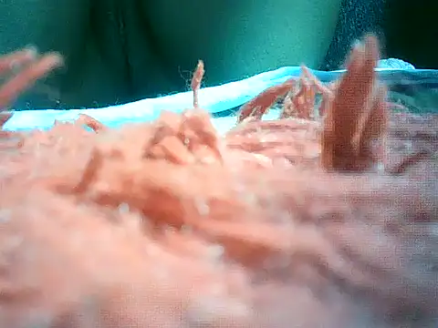 mumbi91 online show from 10, 1, 2025