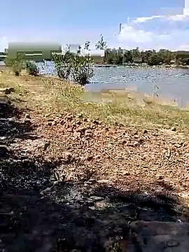 Snapshot of BaseDick chatting on 24, 9, 2025 BaseDick online show from 24, 9, 2025