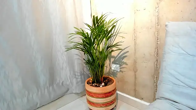 Alan greek 1 online show from 31, 1, 2025