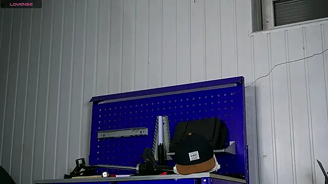 dustyn fox online show from 14, 11, 2025