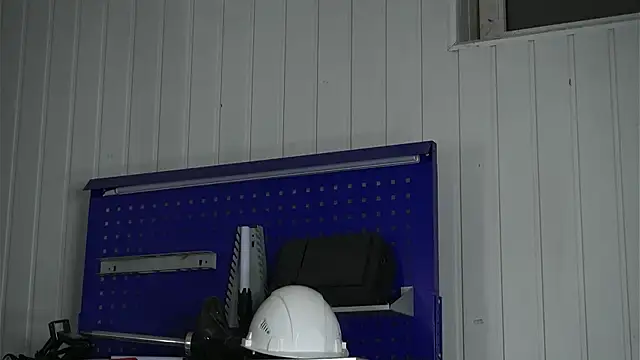 Snapshot of dustyn_fox chatting on 18, 2, 2026 dustyn fox online show from 18, 2, 2026