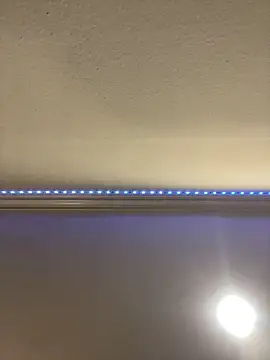 Snapshot of ThicBunz chatting on 16, 3, 2025 ThicBunz online show from 16, 3, 2025