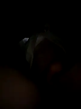 toysonly online show from 2, 12, 2025