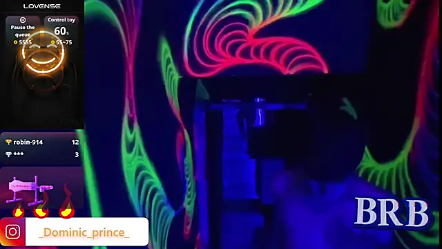 DominicPrince online show from 13, 1, 2026